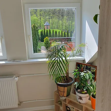 Green Dream Apartment 5 Persons Miskolc Exterior photo