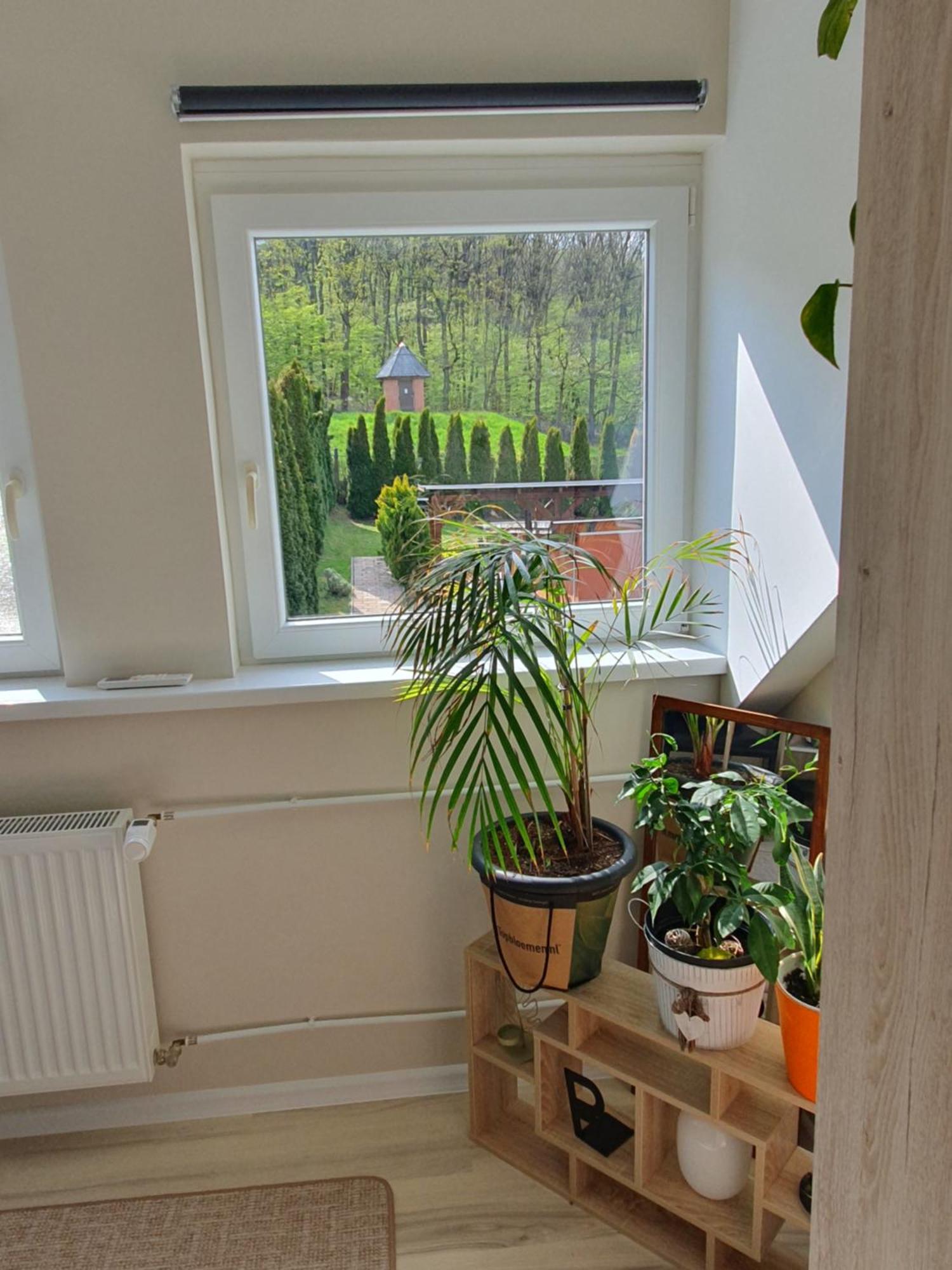 Privatunterkunft Dream 5 Persons